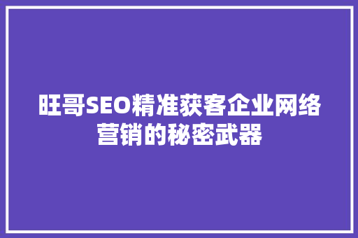 旺哥SEO精准获客企业网络营销的秘密武器