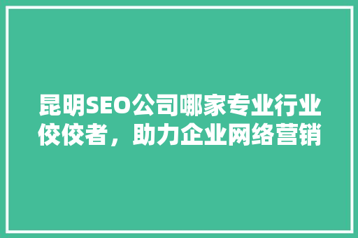 昆明SEO公司哪家专业行业佼佼者，助力企业网络营销腾飞 建站教程