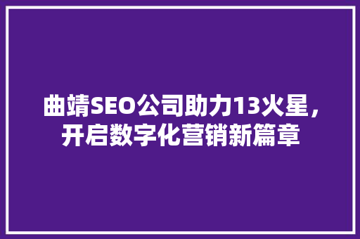 曲靖SEO公司助力13火星，开启数字化营销新篇章