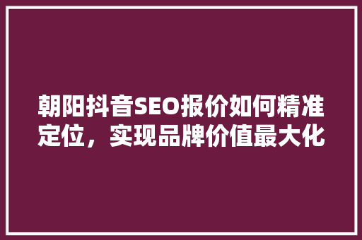 朝阳抖音SEO报价如何精准定位，实现品牌价值最大化