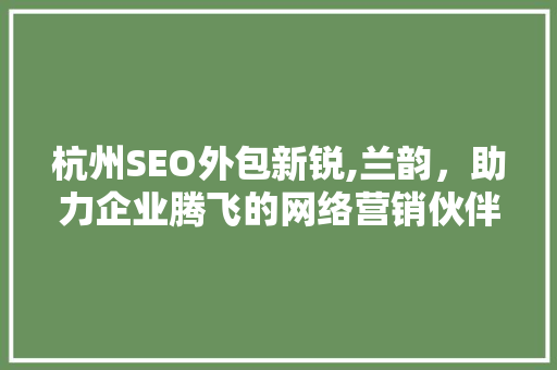 杭州SEO外包新锐,兰韵，助力企业腾飞的网络营销伙伴 服务器/数据库