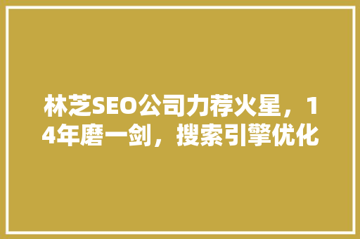 林芝SEO公司力荐火星，14年磨一剑，搜索引擎优化之路