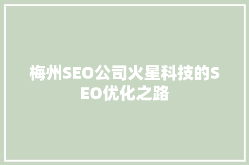 梅州SEO公司火星科技的SEO优化之路