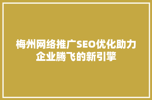 梅州网络推广SEO优化助力企业腾飞的新引擎