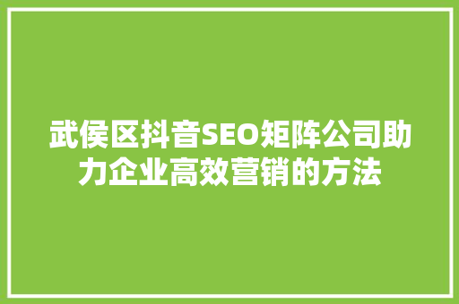 武侯区抖音SEO矩阵公司助力企业高效营销的方法