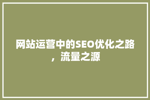 网站运营中的SEO优化之路，流量之源