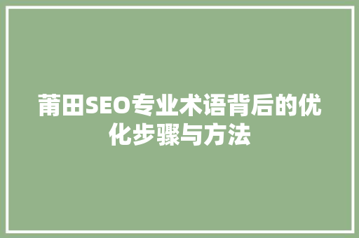 莆田SEO专业术语背后的优化步骤与方法