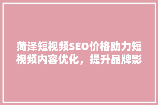 菏泽短视频SEO价格助力短视频内容优化，提升品牌影响力