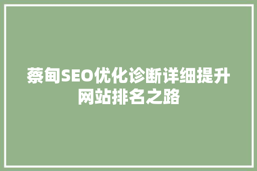 蔡甸SEO优化诊断详细提升网站排名之路