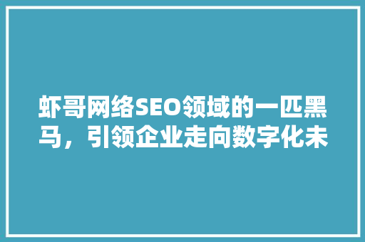 虾哥网络SEO领域的一匹黑马，引领企业走向数字化未来