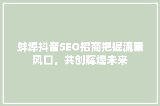 蚌埠抖音SEO招商把握流量风口，共创辉煌未来