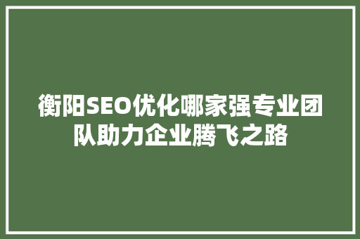 衡阳SEO优化哪家强专业团队助力企业腾飞之路