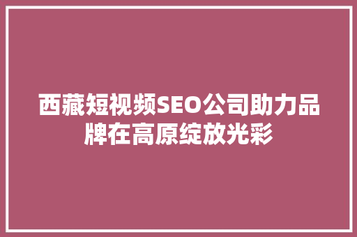 西藏短视频SEO公司助力品牌在高原绽放光彩