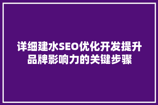 详细建水SEO优化开发提升品牌影响力的关键步骤