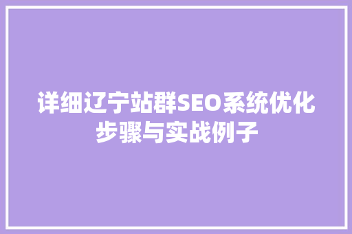 详细辽宁站群SEO系统优化步骤与实战例子