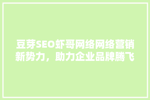 豆芽SEO虾哥网络网络营销新势力，助力企业品牌腾飞