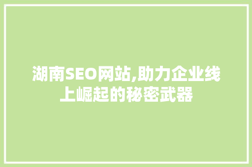 湖南SEO网站,助力企业线上崛起的秘密武器