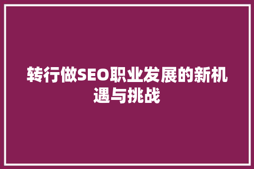 转行做SEO职业发展的新机遇与挑战