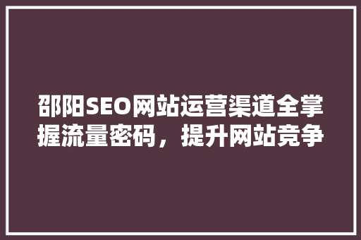 邵阳SEO网站运营渠道全掌握流量密码，提升网站竞争力