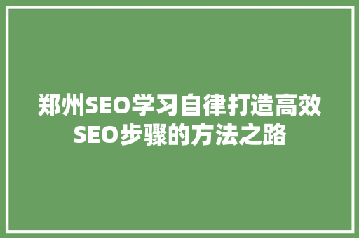 郑州SEO学习自律打造高效SEO步骤的方法之路
