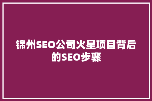 锦州SEO公司火星项目背后的SEO步骤