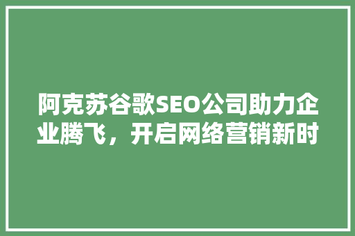 阿克苏谷歌SEO公司助力企业腾飞，开启网络营销新时代