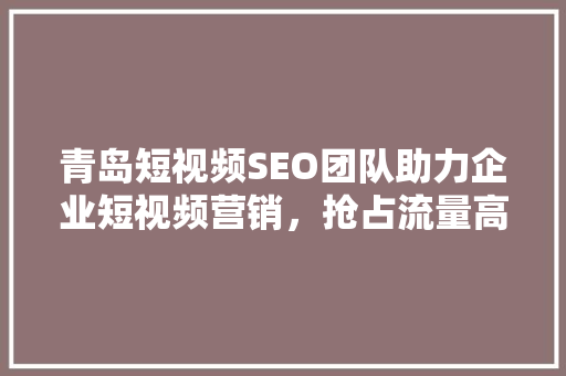 青岛短视频SEO团队助力企业短视频营销，抢占流量高地 SEO教程