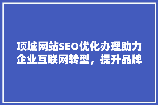 项城网站SEO优化办理助力企业互联网转型，提升品牌影响力