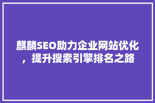 麒麟SEO助力企业网站优化，提升搜索引擎排名之路
