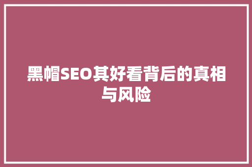黑帽SEO其好看背后的真相与风险