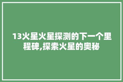 13火星火星探测的下一个里程碑,探索火星的奥秘
