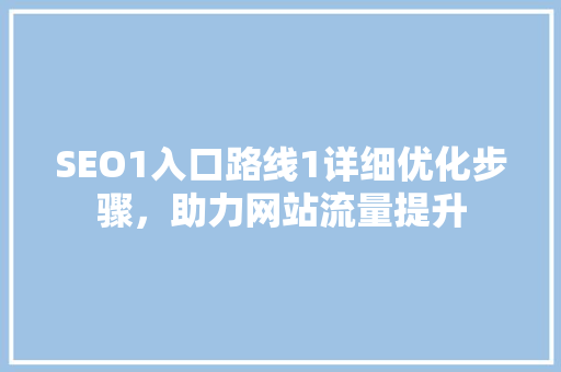 SEO1入口路线1详细优化步骤，助力网站流量提升