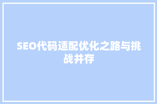 SEO代码适配优化之路与挑战并存