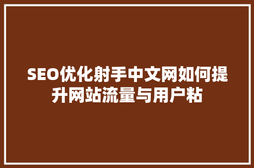 SEO优化射手中文网如何提升网站流量与用户粘