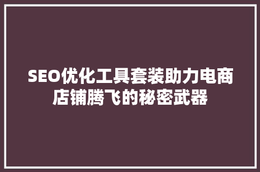 SEO优化工具套装助力电商店铺腾飞的秘密武器