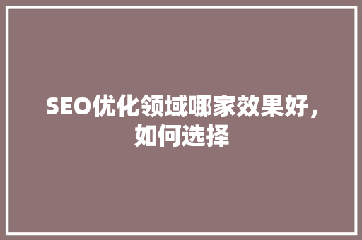 SEO优化领域哪家效果好，如何选择
