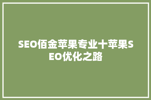 SEO佰金苹果专业十苹果SEO优化之路
