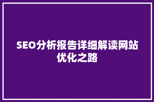 SEO分析报告详细解读网站优化之路