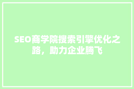 SEO商学院搜索引擎优化之路，助力企业腾飞