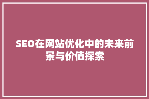 SEO在网站优化中的未来前景与价值探索