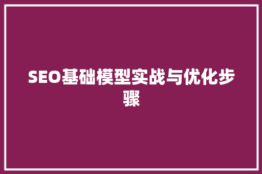 SEO基础模型实战与优化步骤