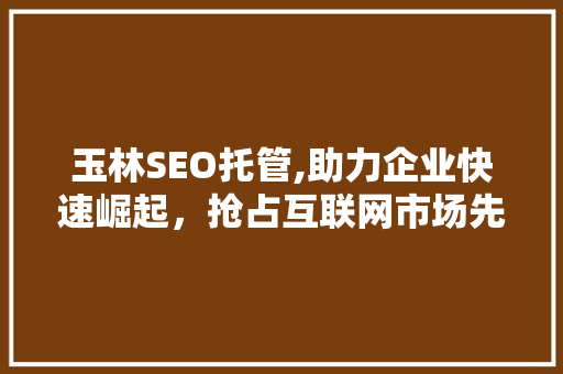 玉林SEO托管,助力企业快速崛起，抢占互联网市场先机