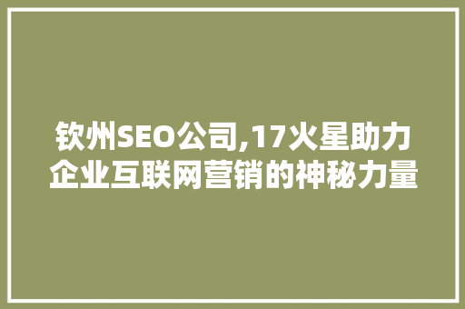 钦州SEO公司,17火星助力企业互联网营销的神秘力量