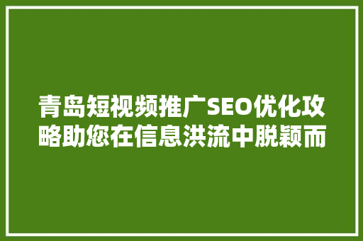 青岛短视频推广SEO优化攻略助您在信息洪流中脱颖而出