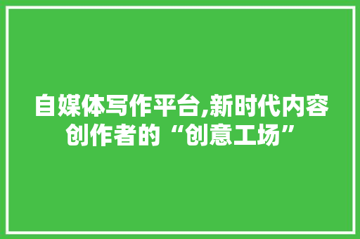 自媒体写作平台,新时代内容创作者的“创意工场”