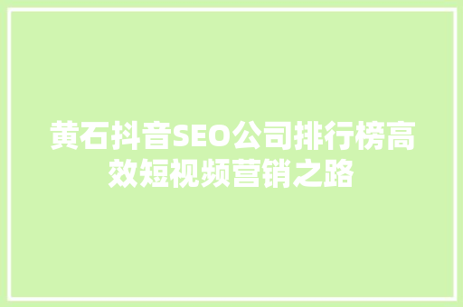 黄石抖音SEO公司排行榜高效短视频营销之路