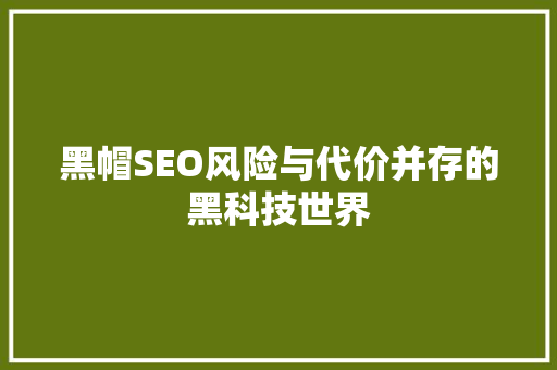 黑帽SEO风险与代价并存的黑科技世界