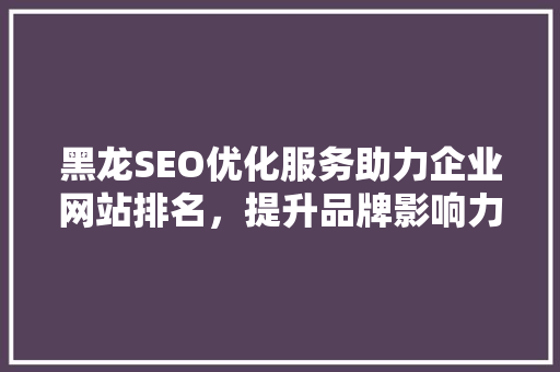 黑龙SEO优化服务助力企业网站排名，提升品牌影响力
