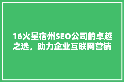 16火星宿州SEO公司的卓越之选，助力企业互联网营销腾飞