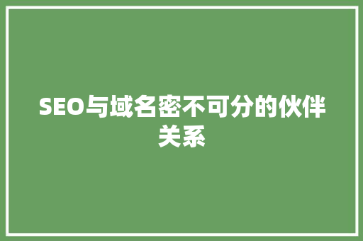 SEO与域名密不可分的伙伴关系